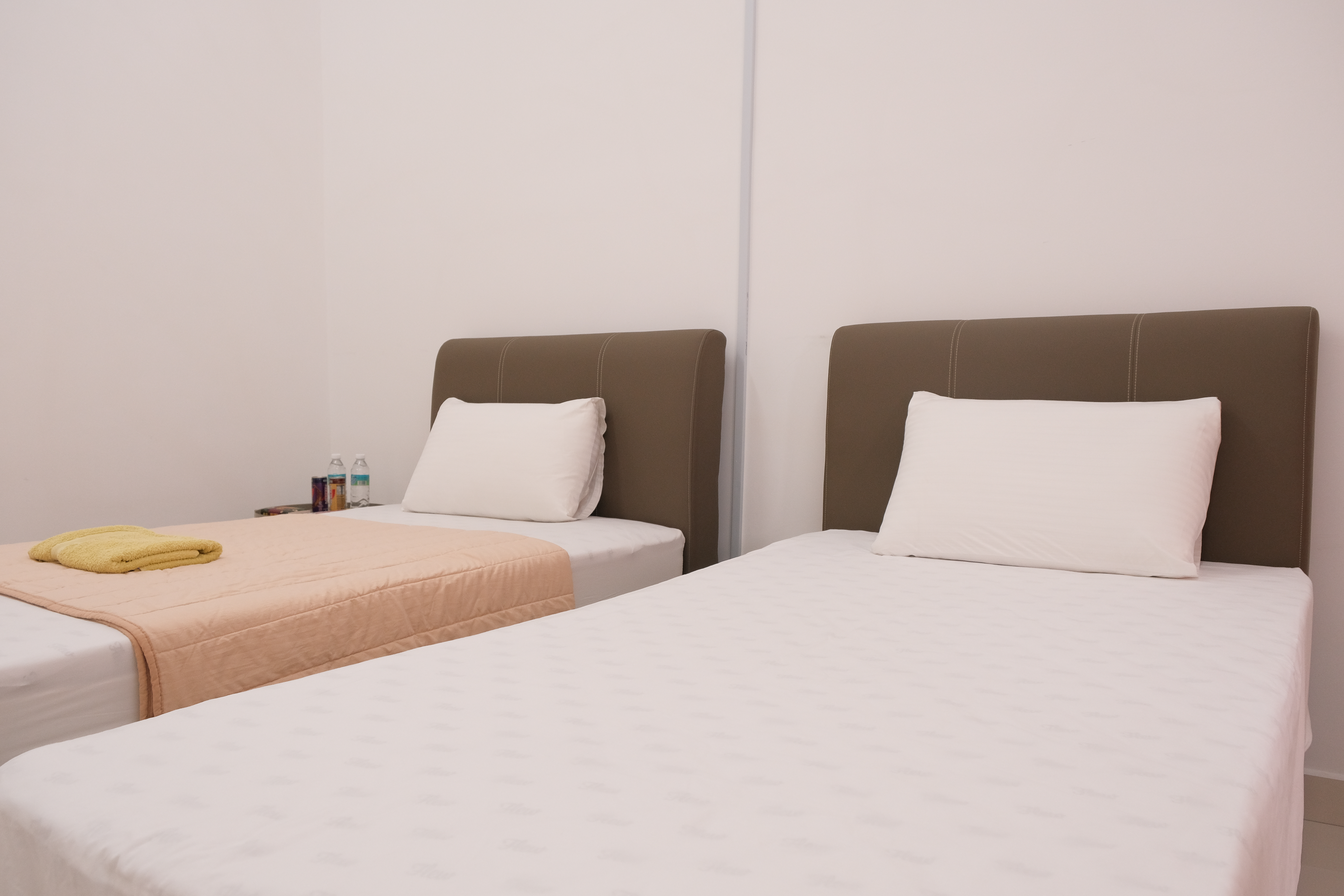 Bedroom with green wall